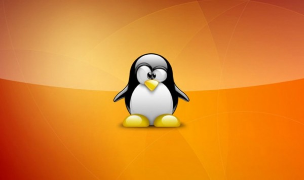 super_tux_wallpaper_linux-800x600