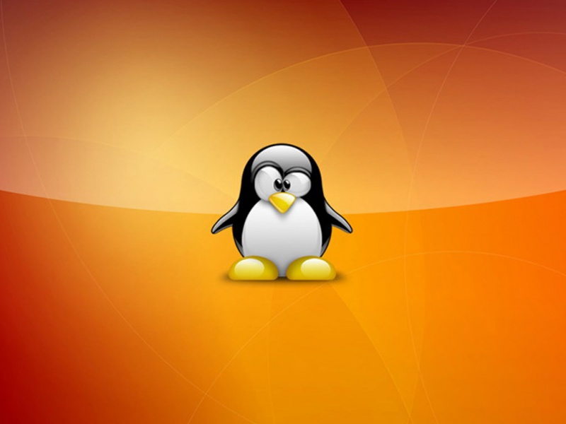 super_tux_wallpaper_linux-800x600