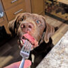 Schwarttzy's Open Graph WordPress Plugin - Image 3